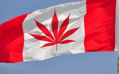 Toronto man loses his driver’s license after a doctor said his cannabis use…