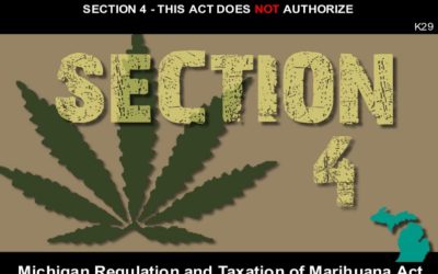 MICHIGAN REGULATION AND TAXATION OF MARIHUANA ACT-SECTION 4