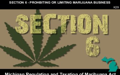 MICHIGAN REGULATION AND TAXATION OF MARIHUANA ACT – Section 6