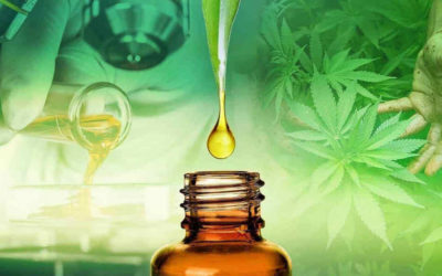 FDA DECIDING FUTURE OF CBD INDUSTRY IN PUBLIC HEARING