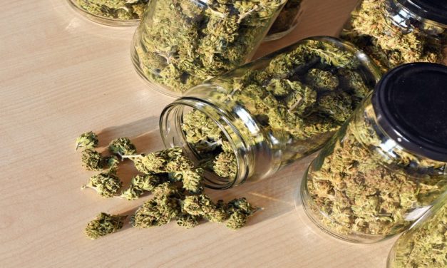 Recreational marijuana ordinance moving forward in Burton