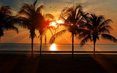 Will Colombia Be The Supplier For the World With Cannabis?
