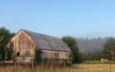 Pilot Insurance Coverage for Hemp Growers