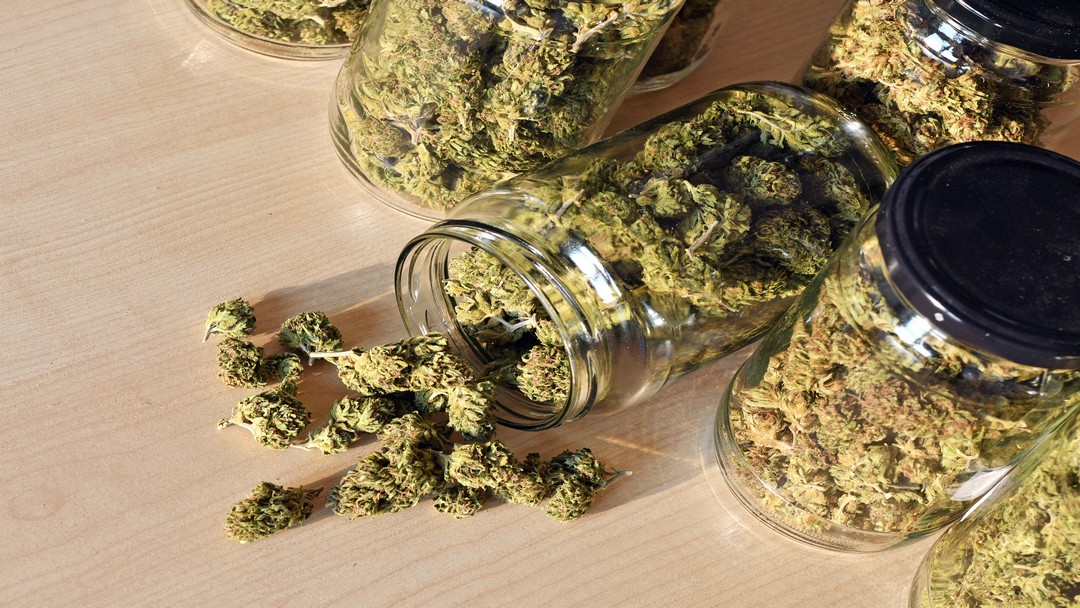 Marijuana Regulatory Agency Releases Adult-Use Applications