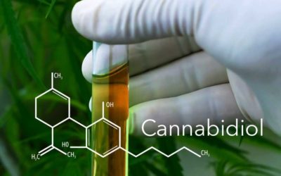 Clinical trials to explore if cannabis could be effective against coronavirus