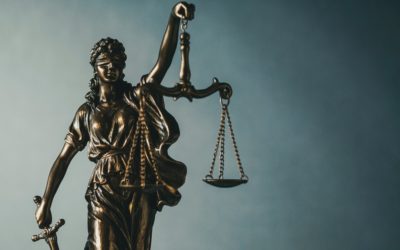 Michigan Supreme Court Opinion on Medical Marijuana Local Ordinances
