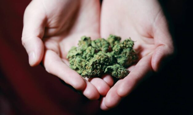 Cannabis Dispensary News