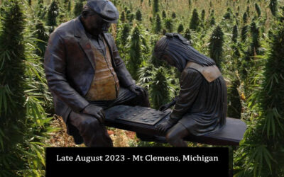 Marijuana Caregiver Ordinance Considered in Mt Clemens