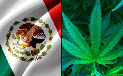 Mexican Lawmakers Fail To Legalize Marijuana Ahead Of Deadline