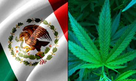 Mexican Lawmakers Fail To Legalize Marijuana Ahead Of Deadline