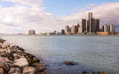 Detroiters could be voting on reparations for residents