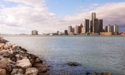 Detroiters could be voting on reparations for residents