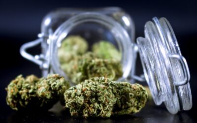 Michigan judge lets some marijuana in massive recall return to shelves