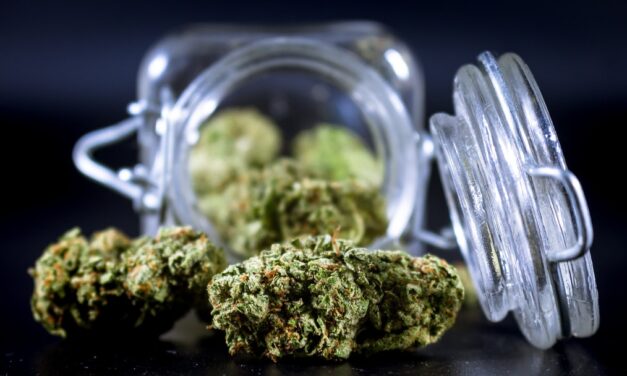 Michigan judge lets some marijuana in massive recall return to shelves