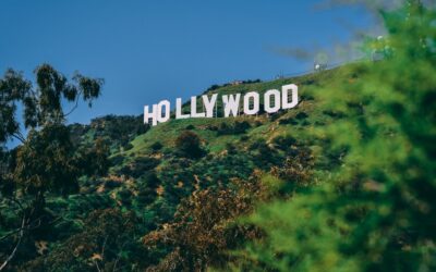 California Cannabis Market – A hazy line between legal and…