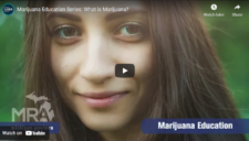 Marijuana Educational Videos from LARA