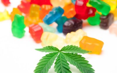 Sales of marijuana products worth millions blocked without explanation