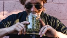 So you think you are an expert cannabis grower
