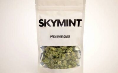 Michigan Cannabis Company Skymint sued