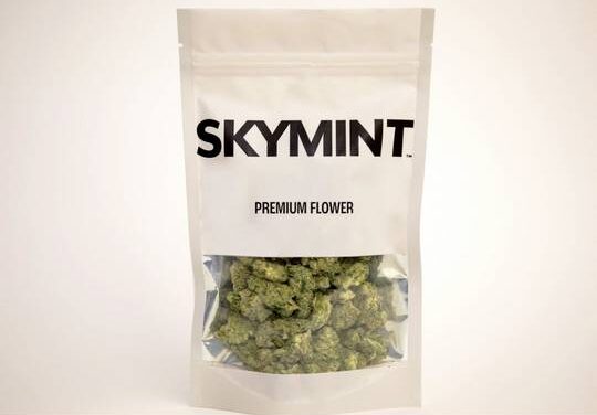 Michigan Cannabis Company Skymint sued