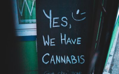 Cannabis companies will progress despite rise in receiverships