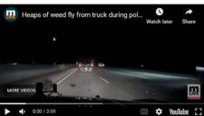 MLive - Heaps of Weed Fly from a Pickup Chased by MSP