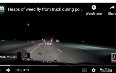 Stolen weed flies from a stolen truck during police chase after cannabis store burglary