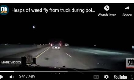 Stolen weed flies from a stolen truck during police chase after cannabis store burglary