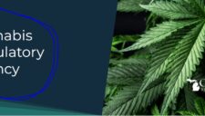 Michigan-Cannabis-Regulatory-Agency-Head