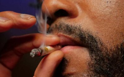 You likely won’t be told if your weed failed mold test.