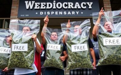 Cannabis company offering its retail license for free