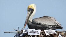 Florida Rejects 2026 Petition for Adult‑Use Marijuana