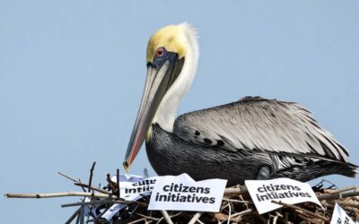 Florida Rejects 2026 Petition for Adult‑Use Marijuana