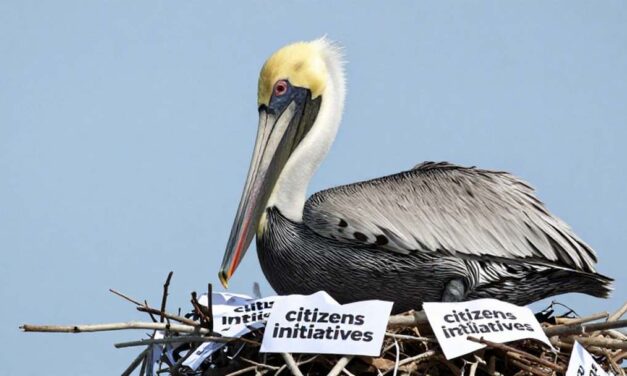 Florida Rejects 2026 Petition for Adult‑Use Marijuana